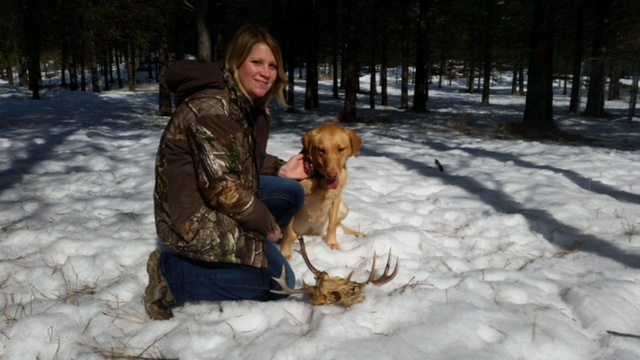 SHEDS-ANTLER-BONE-HORN-HUNT-HUNTING-LABRADOR-RETRIEVER